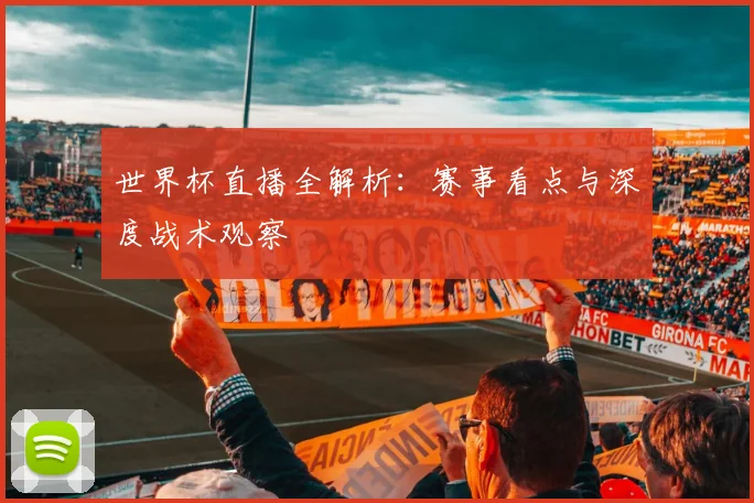 世界杯直播全解析：赛事看点与深度战术观察
