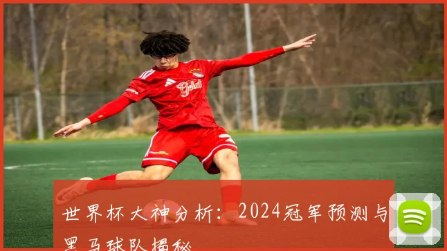 世界杯大神分析：2024冠军预测与黑马球队揭秘