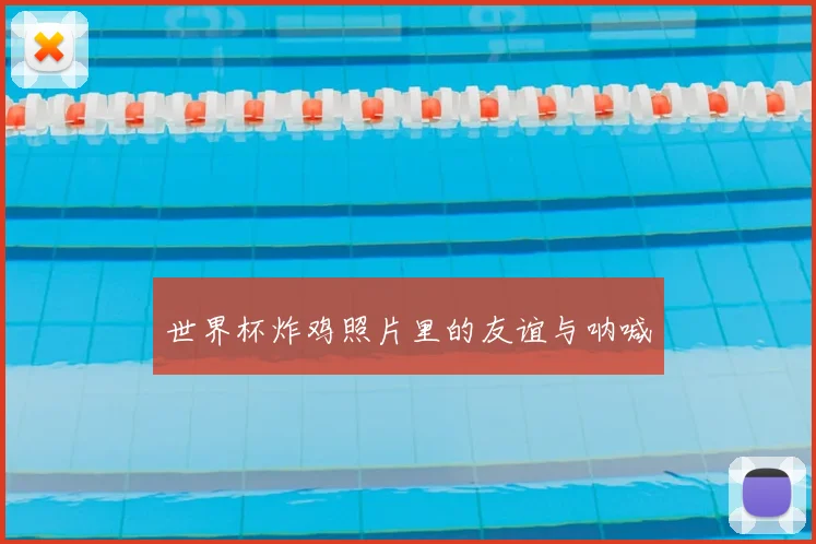 世界杯炸鸡照片里的友谊与呐喊