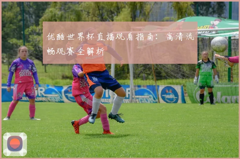 优酷世界杯直播观看指南：高清流畅观赛全解析