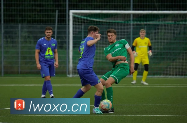 星空网页版入口平台生态图